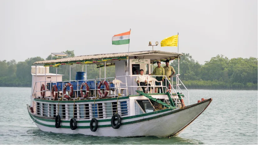 Wildlife Cruise Safari